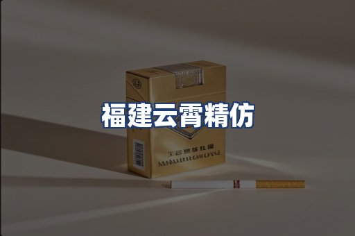 福建云霄精仿